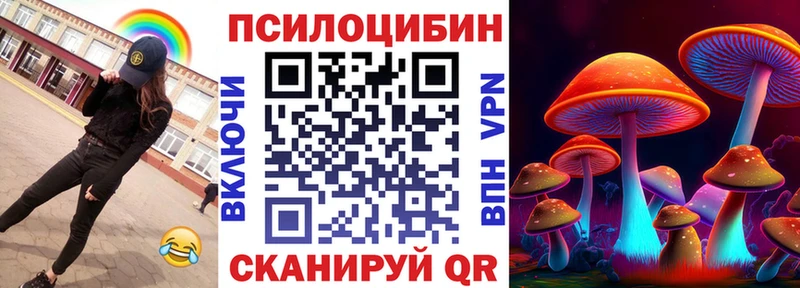 где можно купить   Моршанск  Галлюциногенные грибы Cubensis 